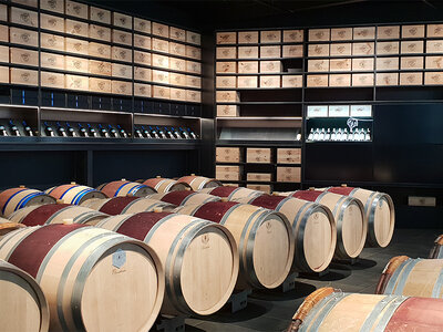 Une journée d'œnotourisme au lac Léman avec souper et dégustation en duo