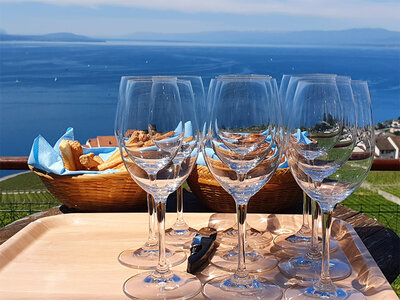 Coffret cadeau Une journée d'œnotourisme au lac Léman avec souper et dégustation en duo
