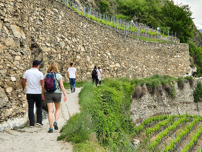 Cofanetto Gita di 1 giorno al Lago di Ginevra con degustazione per 2 amanti del vino