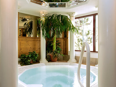 Box 1 Übernachtung in der Jungfrauregion mit Abendessen oder Wellness