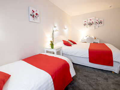 Séjour de 2 jours en hôtel de charme 3* à Rodez en famille