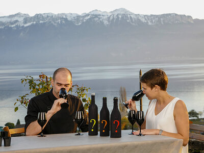 Cofanetto regalo L'arte della degustazione di vini a Lavaux