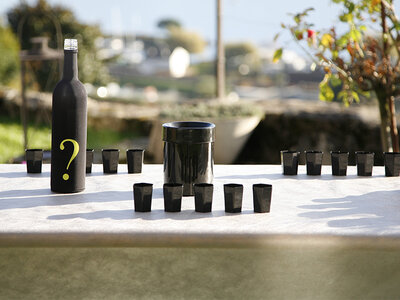 L'arte della degustazione di vini a Lavaux