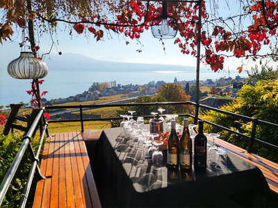 Coffret cadeau Activité œnologique en duo : création d'une cuvée en Lavaux