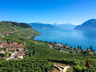 In vino veritas! Crea la tua cuvée a Lavaux