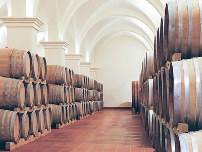 Cofanetto Degustazione di vini siculi, visita alla cantina e 2 bottiglie omaggio