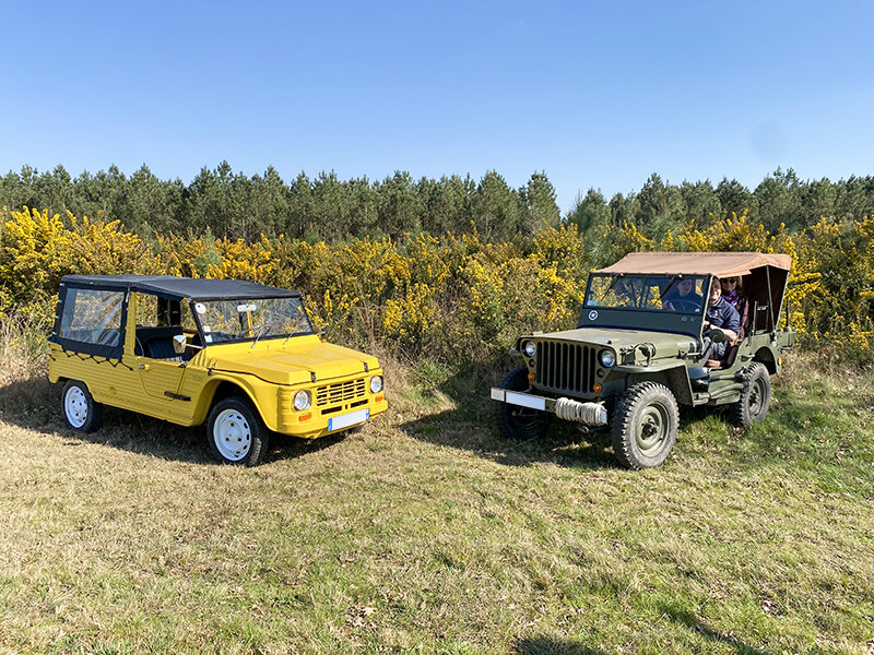 Visite d'un vignoble bordelais en Jeep ou en Méhari avec pique-nique sur le domaine