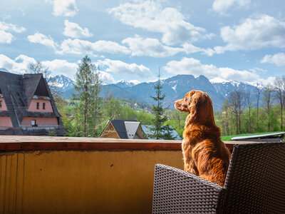 Cofanetto regalo In montagna con il tuo cane: 2 notti a Crans-Montana per 2