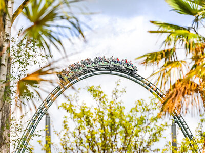 Doos Dagje Walibi Belgium voor 1 kind