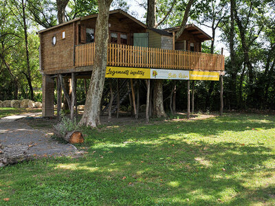 Coffret cadeau 3 jours insolites en cabane perchée dans un arbre près de Saintes