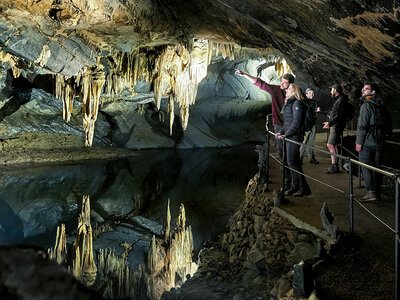 Une entrée aux Grottes de Han pour 1 adulte