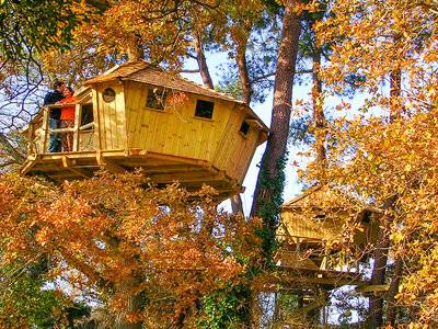 Coffret cadeau 3 jours insolites en cabane perchée dans les arbres avec accès au spa près de Carnac