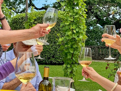 Alla scoperta dei vini piemontesi: visita alle cantine con degustazione e 2 bottiglie omaggio