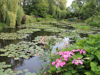 Coffret Visite guidée : musées Orsay, Orangerie, jardins et maison de Claude Monet pour 2