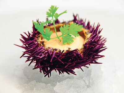 Adresses primées : repas 7 plats au restaurant La Ribaudière près de Cognac