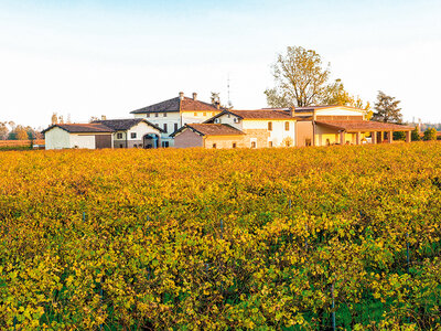 Cofanetto Un cin-cin con il babbo! Degustazione vini per la festa del papà