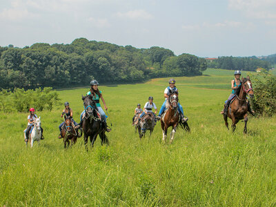 Das Studium ist geschafft!