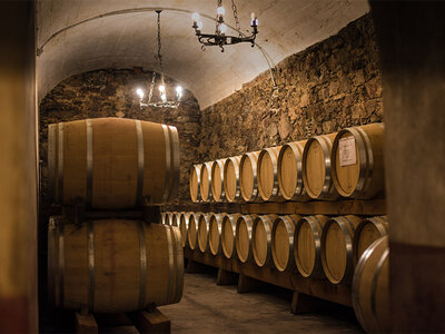 Un picnic in vigna al sapore di Montepulciano con tour in cantina