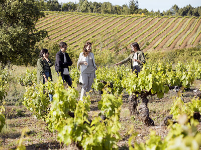Caja 1 visita con degustación para 2 personas en las famosas Bodegas Pittacum