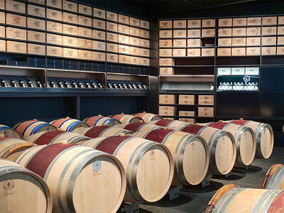 Coffret cadeau 1 journée au lac de Genève avec dégustation de vins, repas local et visite de la région