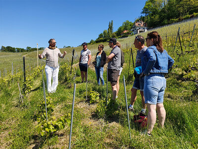 1 journée au lac de Genève avec dégustation de vins, repas local et visite de la région