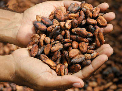 Coffret Douceur de Paris : une entrée au musée Choco-Story avec atelier et dégustation pour 2 personnes