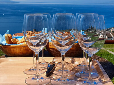 Instant gastronomique sur le lac Léman : 1 croisière avec dégustation de vins et collations