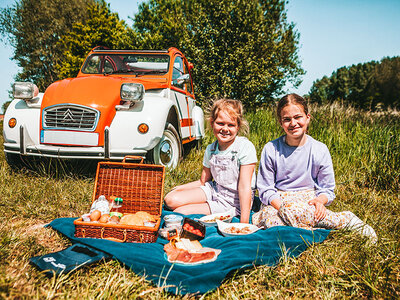 Cadeaubon Dagtocht in een Citroën 2CV doorheen de Vlaamse Ardennen voor 4