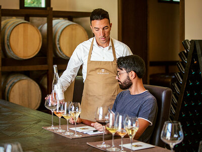 Eccellenze siciliane: degustazione vini con visita ai vigneti in Wine resort a Trapani