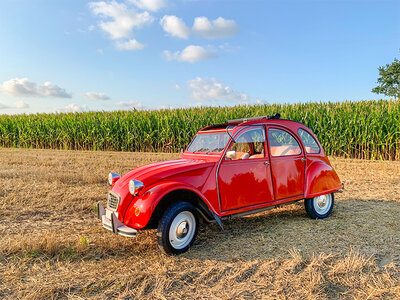 Cadeaubon Autozoektocht van 1 halve dag voor 4 personen in een Citroën 2CV