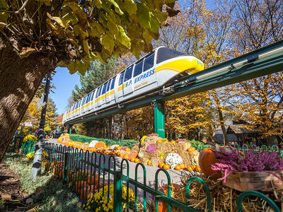 Coffret 2 journées en famille à Europa-Park pour 2 adultes et 1 enfant en haute saison