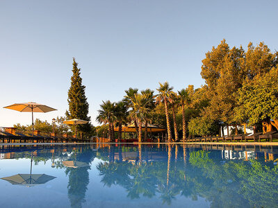 Relax alle pendici dell’Etna: 1 notte con cena e Spa in hotel 4*