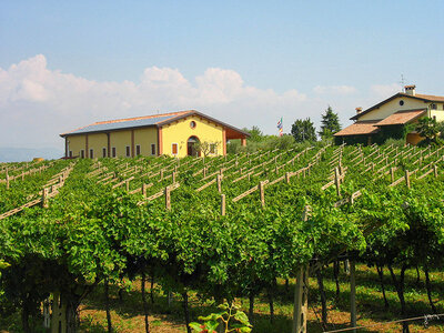 Cofanetto regalo Il Lago di Garda e i suoi vini: 1 degustazione con prodotti tipici