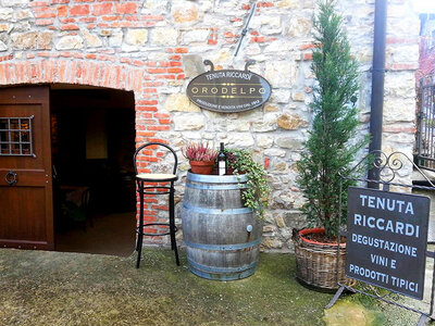 Dall’uva al vino: visita alla cantina e degustazione vini in tenuta agricola a Pavia