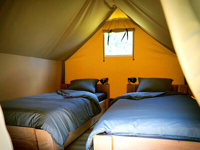 Doos 2-daagse met ontbijt op de glamping Backpackers’Camp in de Ardennen