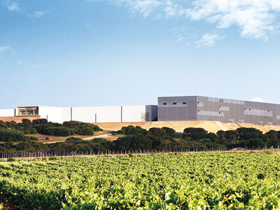 Visita con cata y almuerzo para 2 personas en Finca Antigua