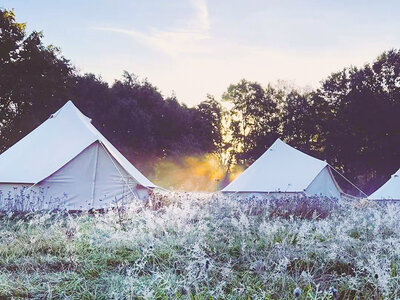 2 jours en glamping près de Malines avec brunchbox