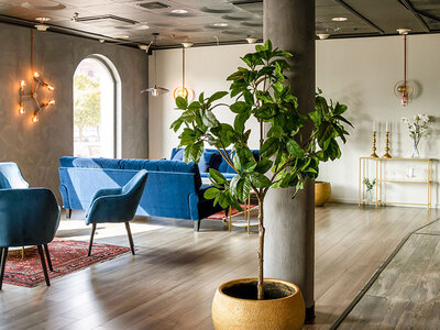 Förläng 30 årsdagen med hotellnatt för 2