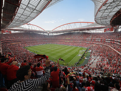 Football en famille : visite du stade de Luz Sport Lisboa e Benfica et écharpe pour 4