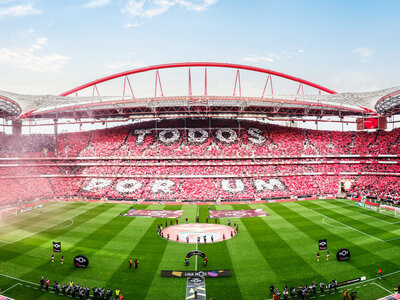 Coffret Visite du musée Sport Lisboa e Benfica avec écharpe offerte