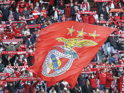 Visite du stade de Luz, musée Sport Lisboa e Benfica, écharpe et dîner au Red Snack pour 2