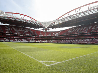 Coffret cadeau Visite du stade de Luz et du musée Sport Lisboa e Benfica avec écharpe du club