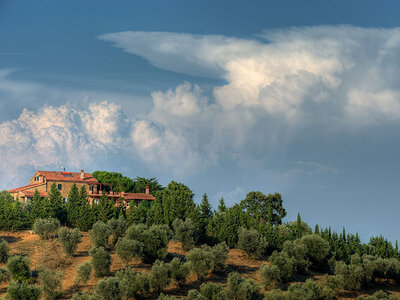 Relax e benessere in Country Hotel 4* a Grossetto: accesso alla Spa con kit incluso per 2