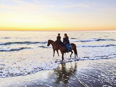 Incredibile passeggiata a cavallo in riva al mare in un parco naturale del Salento