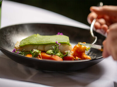 1 nuit dans un hôtel 4* avec souper, massage et spa près de Bâle