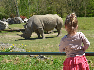 1 giorno allo ZooParc de Beauval per 1 adulto e 2 bambini