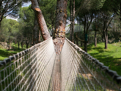 1 acceso de 4 horas al parque de aventura en los árboles para 2