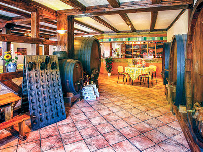 Coffret cadeau Visite de cave et dégustation de vins d'Alsace dans un domaine près de Colmar