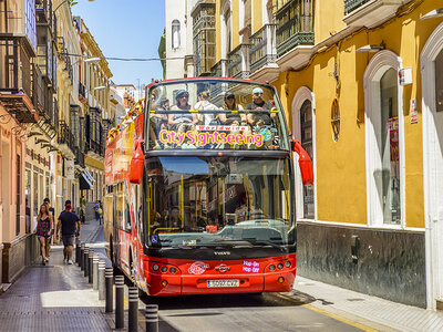 Caja Plan turístico de 2 días en Sevilla con bus y entradas para 2 personas