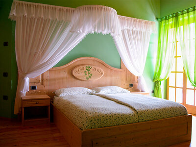 Mamma, andiamo a scoprire il Trentino!